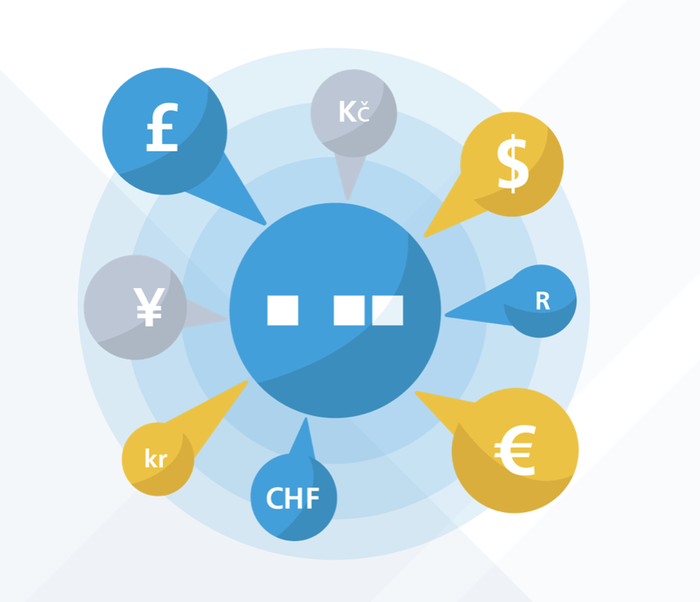 Multi Currency Reporting