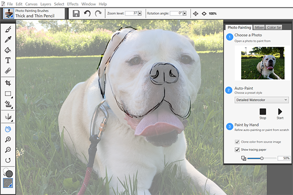 Padaryta Is Pirmenybė Atsitraukti Painter Essentials 6 Wacom Yenanchen Com